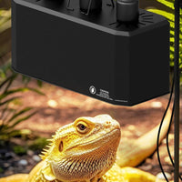 Reptile Light Fixture with Three Sockets Space-Saving Triple Dome Fixture Lighting Hood Slim for Terrariums