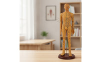 Acupressure Model Accurate Acupressure Model with Stand Meridian Mannequin for Acupuncturists, Teachers, Classroom, Professional Office