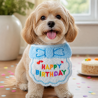 Pet Birthday Bandana and Hat Set for Cats and Dogs