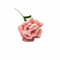 Handmade Carnation Unique Gift Creative Touch for Mothers Day