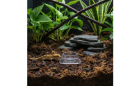 Disposable Cold-Blooded Animal Water Bowl Stable Base Anti-Tip Pet Dish Gecko Feeding Cups Clear Plastic Snake Bowl Large