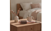 Heated Styling Brush Travel Heated Round Brush Dual Power Requirement for Jet-Setters