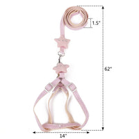 Dog Harness and Cat Leash Set with Star Charms, Non-Retractable Nylon Leash and Strap Harness for Small Dogs or Medium Cats Walking Outdoors