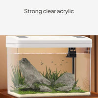 Mini Desktop Aquarium with Lid, Filtration, Oxygenation