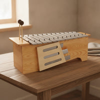 Metallophone Diatonic Glockenspiel Compact Xylophone with Metal Strips for Kids