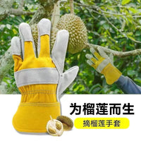 Thick Protective Gloves for Durian Handling