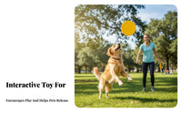 Floats on Water Dog Flying Disc Chew-Resistant Pet Flying Disc Long-Lasting for Dogs, Outdoor, Lake, Beach