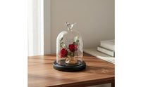 Preserved Flower Display Jar Great Gift Notion Glass Dome Display Stand Cloche Dome Jar DIY Easy to Use Desktop Debris Cover