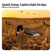 6 Pieces 2D Silhouette Goose Decoy Foldable Canadian Goose Decoy Lightweight