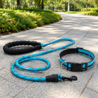 dog leash and collar set