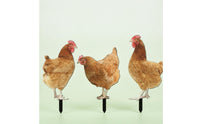3 Pieces Chicken Garden Stake Weatherproof Acrylic Chicken Stake Decorations Waterproof Farmhouse for Gardeners, Lawn