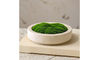 Bowl Planter Low-Profile Shallow Planter Stone-Look Decorative Pot for Living Room, Reception Desk, Hotel Reception Area