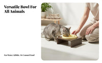 Long-Lasting Ceramic Pet Bowl Safe Material Round Food and Water Dish Easy to Clean for Cats, Kittens