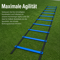 Agility Hurdles Set, 6m coordination ladder with 5 hurdles and 4 ground pegs, training set for football speed training