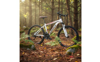 Shock Absorption 26 Inch Mountain Bike Disc Brakes Mountain Bike Variable Speed Outdoor Vehicle High-Carbon Steel Frame for Adults