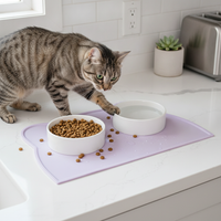 BD Flying Saucer Ceramic Pet Bowl with Elevated Iron Stand for Cats and Dogs, Anti-Tip, Macaron Colors