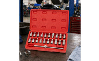 21 Pieces 3/8-Inch Drive Oil Pan Drain Plug Set Square Hex Star Drive Triangle Bits Drain Plug Socket Set