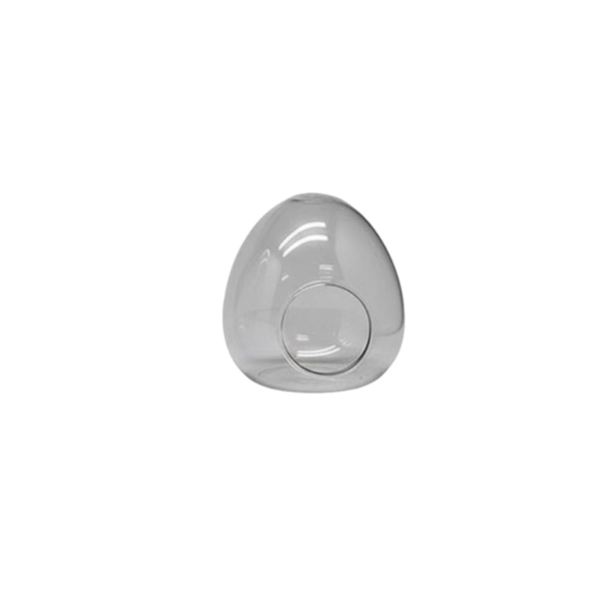 High Clarity Egg Shaped Terrarium Easy to Clean Micro Landscape Bottle Heat Resistant for Crafters, Hobbyists, Desk, Desktop, Bookshelf