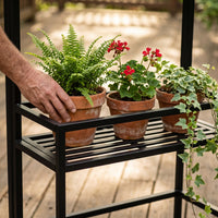 Multi-Tier Carbon Steel Plant Stand with Wheels for Indoor/Outdoor Use