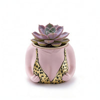 Torso Planter Quirky Planter with Hands Unique for Windowsill