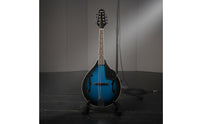 Easy to Play 8 String Mandolin Rich Tone Beginner Mandolin for Beginners
