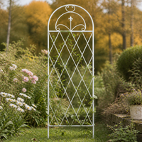 Iron Garden Arch, White, Trellis for Climbing Plants, Roses, Clematis, Support, Garden, Design, 171-200cm