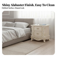 European design 2-Drawer End Cabinet Lacquered Finish Nightstand Modern Design Bedside Table Simple for homeowners, Renters, Students, Guest Room, Home Office