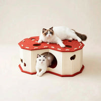 Interactive Cat Tunnel House Playful Cat Tunnel with Openings Enclosed Pet Furniture Cozy for Cats
