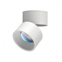 Cylindrical Head Surface Mount Lamp Rotatable Adjustable Ceiling Lamp Foldable Surface Mounted Light Aluminum