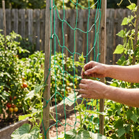 Plant Climbing Net for Vines, Fruits, and Vegetables - Durable Trellis Netting
