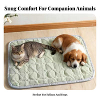 Warm Rectangular soft and velvety pet mat Non-Slip soft and velvety Rectangular Mat Soft pet Bedding adaptable for Dogs, Dog Owners, Small animals, pet carriers, Kennels, Indoors, Floor