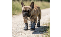 4 Pieces Small Dog Boots Wear-Resistant Waterproof Dog Shoes Reflective Strip Pet Supplies for Snowy