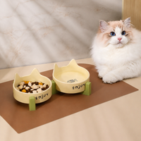 Elevated Ceramic Dog Bowls with Stand, Double Cat Bowls for Neck Strain, Spill-resistant Pet Feeding Station for Digestive Issues