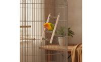 Safe Bird Ladder with Hooks Sturdy Hanging Bird Ladder Long-Lasting Toy Compact for Parrots, Cockatiels