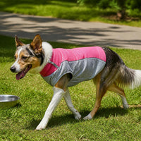 Pet Cooling Vest Breathable Summer Dog Apparel for Heat Relief