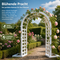 Garden Arch Made of Iron Metal, 30mm Pipe, Painted, for Climbing Roses, Ivy, Grapes & Flowers, Nordic Style, 40cm Deep, 12kg Garden Arch