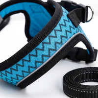 Cat Vest Harness with Soft Mesh, Cat Walking Harness for Small Breeds, reliable cat Leash Attachment for Outdoor Walking Gear
