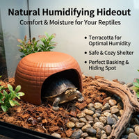 Domed Snake Hide, Terracotta Reptile Hide for Vivarium, Small Terrarium Decor for Gecko & Snake