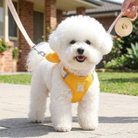 Dog Vest Harness and Leash Set, Polyester Small Dog Harness for Training Walking, Cat Walking Harness with Handle Training for Various Pets