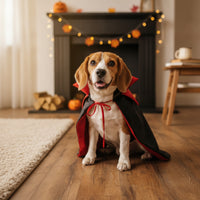 Dog Cape with Collar Black Canine Cape Glossy for Dogs, Pets