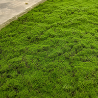 artificial moss mat