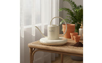 Stylish Design Succulent Watering Can Gentle Flow Long Spout Watering Can Comfortable Handle Gardening Supply Long-Lasting for Balcony, Office