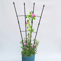 Garden Decor Fan-Shaped Garden Trellis for Climbing Plants, Weather Resistant Plant Support for Potted Plants, Interlocking 120cm Height Frame