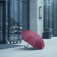10 Pieces Umbrella with Automatic Open Button Promotional Umbrella with Automatic Open Strong for Businesses, Hotels, Advertising, Corporate Giveaways