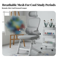 Ergonomic Design Adjustable Student Chair Lumbar Support Desk Seat Reclining spine supportrest Computer Seating Breathable Mesh spine support for Teenagers, Students, Home-Based Professionals, Study Room, Workspace, Bedroom