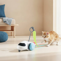 Automatic Cat Toy Rolling Interactive Cat Toy Indoor Compact for Cats, Apartments