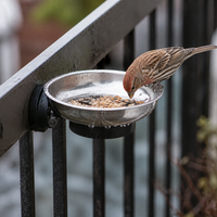 Outdoor Bird Feeder Tray for Small Birds - Balcony & Garden Use