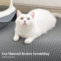 Non-Slip Backing Double Layer Cat Litter Mat Scratch Resistant Double Layer Litter Mat Easy to Clean