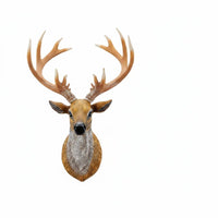 3D Deer Head Wall Mount Detailed Deer Head Wall Decor Realistic Antlers Rustic for Living Room, Entryway, Hallway
