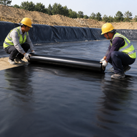 HDPE Geomembrane Pond Liner for Landscaping, Heavy Duty Puncture Resistant Anti-Seepage Waterproof Liner Black Pond for Water Features